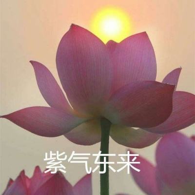 蛋宝游戏厅联机版下载